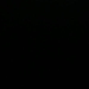 Meet your Posher, Rania